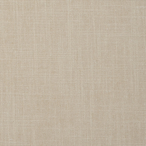 CLARKE AND CLARKE - F0736/04 - EASTON - Fabric By the Yard