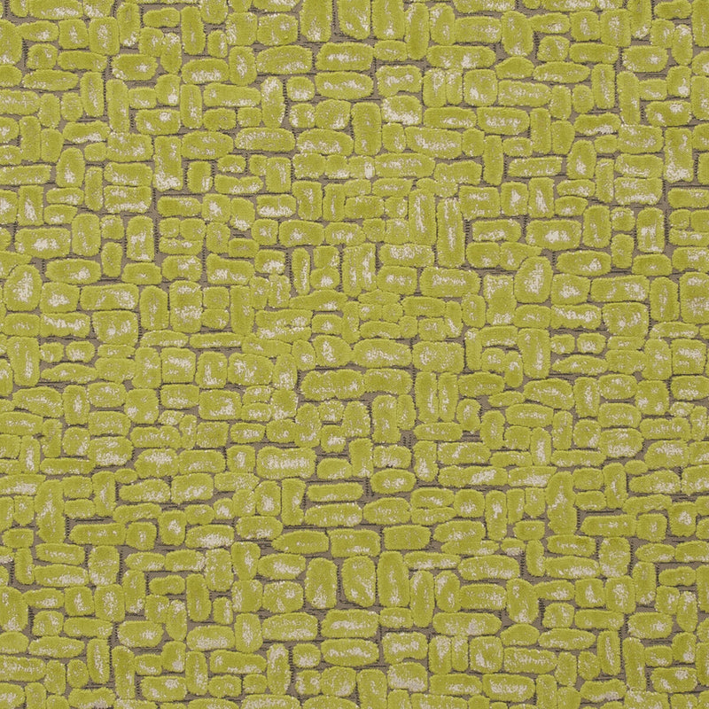 CLARKE AND CLARKE - MODA- CITRUS - Fabric by the Yard CITRUS