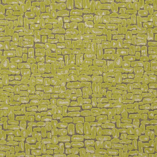 CLARKE AND CLARKE - MODA- CITRUS - Fabric by the Yard CITRUS