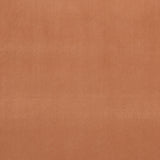 CLARKE AND CLARKE - ALVAR- TAMARIND - Fabric by the Yard