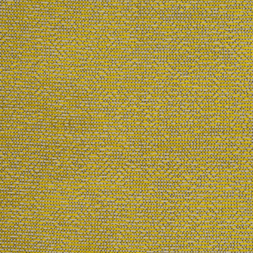 CLARKE AND CLARKE - BEAUVOIR- CITRUS - Fabric by the Yard CITRUS