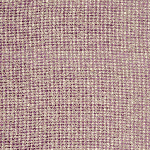CLARKE AND CLARKE - BEAUVOIR- ORCHID - Fabric by the Yard ORCHID