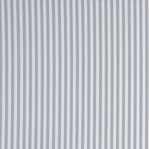 CLARKE AND CLARKE - PARTY STRIPE- STRIPE CHAMBRAY - Fabric by the Yard STRIPE CHAMBRAY