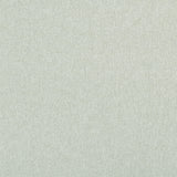 CLARKE AND CLARKE - HIGHLANDER- EGGSHELL - Fabric by the Yard