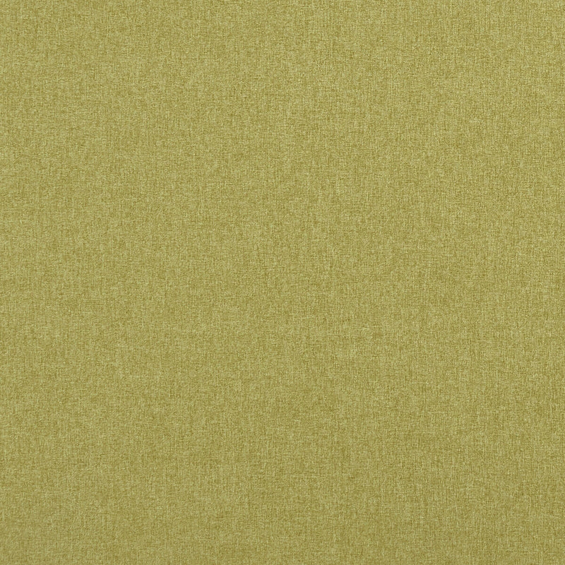 CLARKE AND CLARKE - HIGHLANDER- FERN - Fabric by the Yard FERN