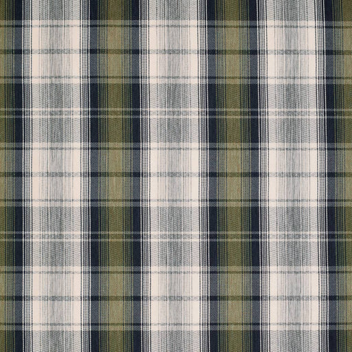 Charlotte - F100-145 - Fabric by the Yard F100-145