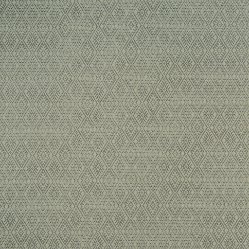 CLARKE AND CLARKE - F1005/05 - HAMPSTEAD - Fabric By the Yard