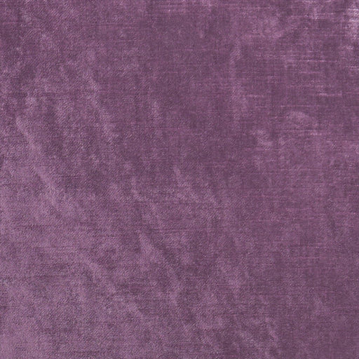 CLARKE AND CLARKE - ALLURE- BERRY - Fabric by the Yard BERRY