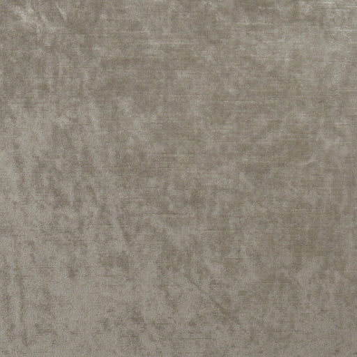 CLARKE AND CLARKE - ALLURE- TAUPE - Fabric by the Yard TAUPE