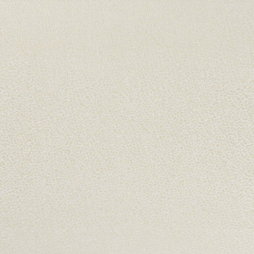 CLARKE AND CLARKE - F1091/01 - ISLA - Fabric By the Yard