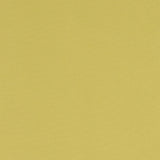 CLARKE AND CLARKE - ALORA- CELERY - Fabric by the Yard