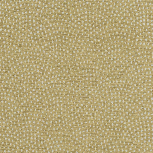 CLARKE AND CLARKE - F1132/01 - NEBULA - Fabric By the Yard