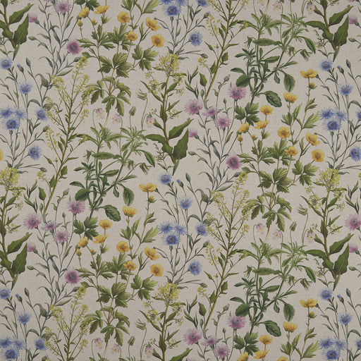 CLARKE AND CLARKE - F1146/01 - BUTTERCUP - Fabric By the Yard