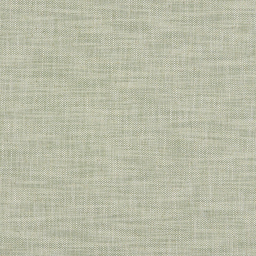 CLARKE AND CLARKE - F1180/08 - MILTON - Fabric By the Yard