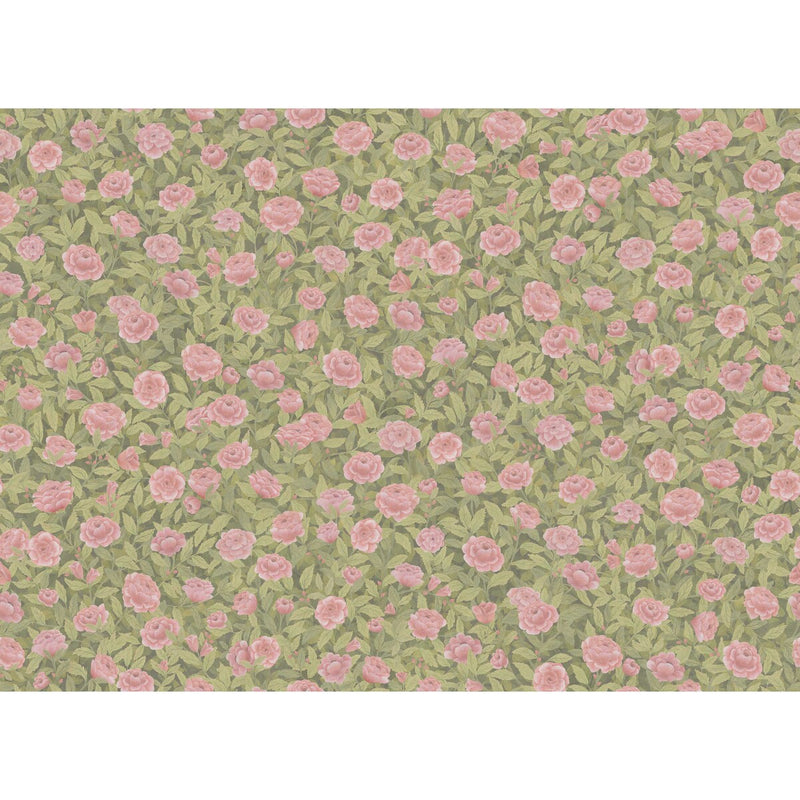 COLE & SON - IDYLL ROSES LINEN- BLUSH - Fabric by the Yard BLUSH