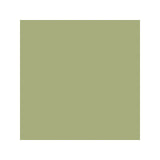 COLE & SON - COLOR BOX VELVET- SAGE - Fabric by the Yard
