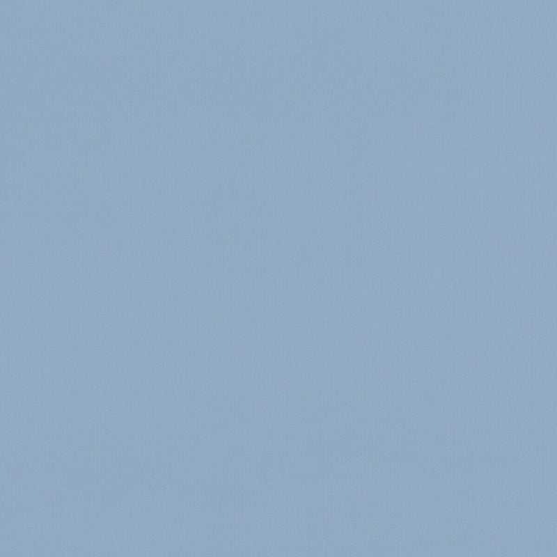 CLARKE AND CLARKE - RENZO- CHAMBRAY - Fabric by the Yard CHAMBRAY