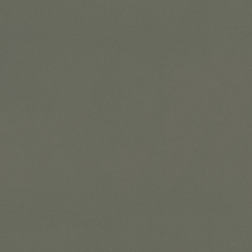 CLARKE AND CLARKE - F1231/03 - RENZO - Fabric By the Yard