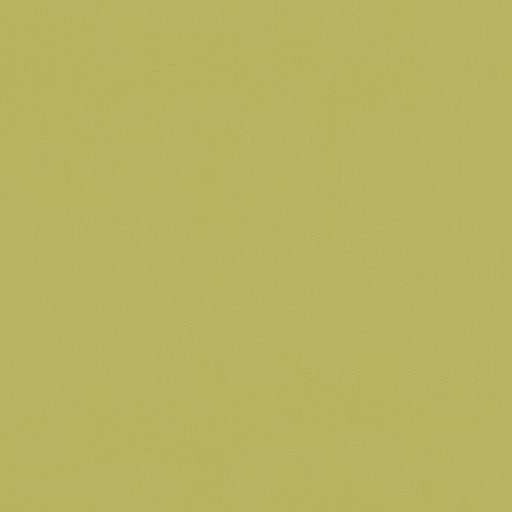 CLARKE AND CLARKE - F1231/04 - RENZO - Fabric By the Yard