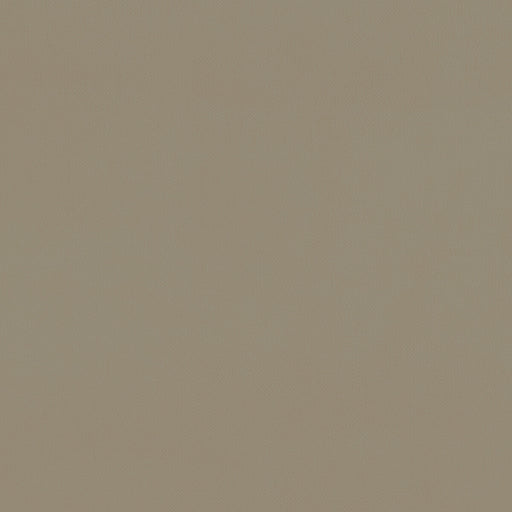 CLARKE AND CLARKE - F1231/05 - RENZO - Fabric By the Yard