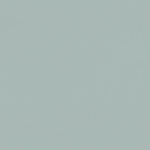 CLARKE AND CLARKE - F1231/08 - RENZO - Fabric By the Yard