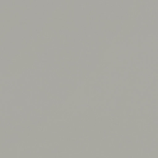 CLARKE AND CLARKE - RENZO- LINEN - Fabric by the Yard LINEN