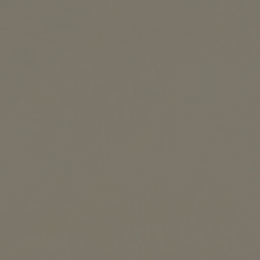 CLARKE AND CLARKE - F1231/16 - RENZO - Fabric By the Yard