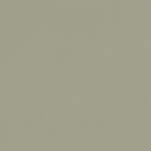 CLARKE AND CLARKE - F1231/22 - RENZO - Fabric By the Yard