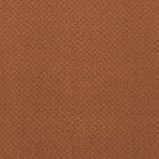 CLARKE AND CLARKE - F1231/25 - RENZO - Fabric By the Yard