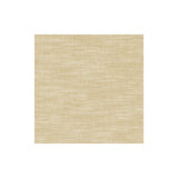 CLARKE AND CLARKE - AMALFI- ALABASTER - Fabric by the Yard