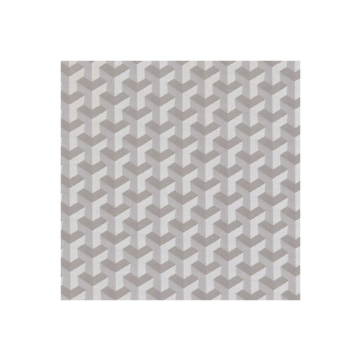 CLARKE AND CLARKE - F1250/06 - STRUTTURA - Fabric By the Yard