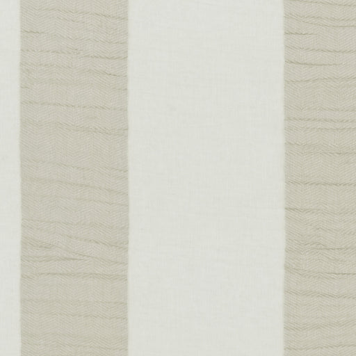 CLARKE AND CLARKE - F1281/02 - LUCIDO - Fabric By the Yard