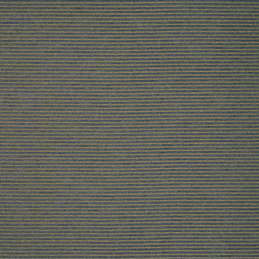 CLARKE AND CLARKE - F1283/06 - MATTEO - Fabric By the Yard