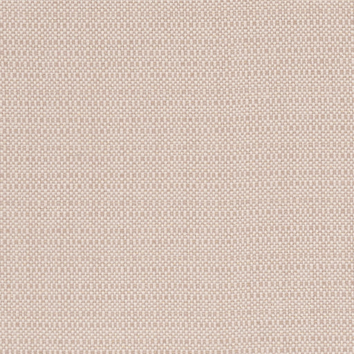 CLARKE AND CLARKE - F1299/01 - KAUAI - Fabric By the Yard