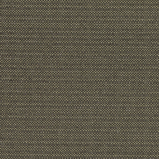 CLARKE AND CLARKE - F1299/02 - KAUAI - Fabric By the Yard