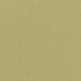 CLARKE AND CLARKE - KAUAI- CITRON - Fabric by the Yard