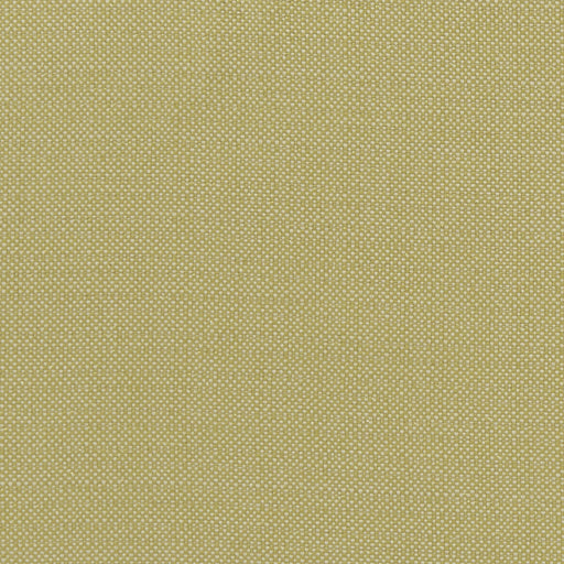 CLARKE AND CLARKE - KAUAI- CITRON - Fabric by the Yard CITRON