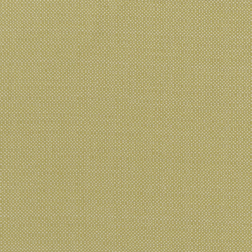 CLARKE AND CLARKE - F1299/03 - KAUAI - Fabric By the Yard