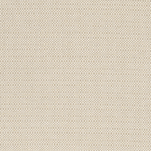 CLARKE AND CLARKE - KAUAI- LINEN - Fabric by the Yard LINEN