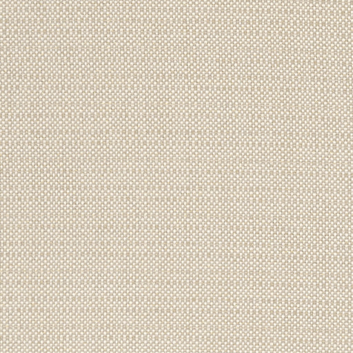 CLARKE AND CLARKE - F1299/05 - KAUAI - Fabric By the Yard