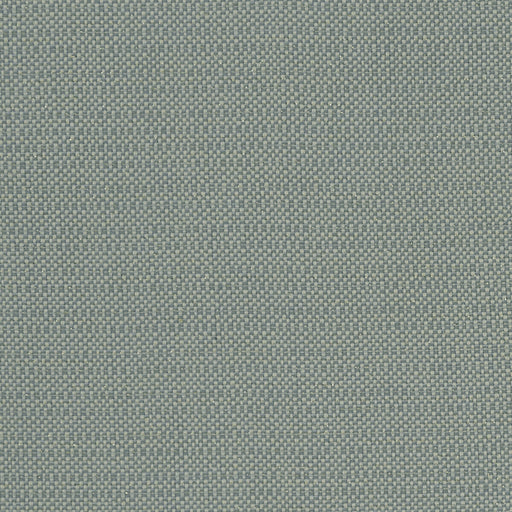 CLARKE AND CLARKE - F1299/06 - KAUAI - Fabric By the Yard