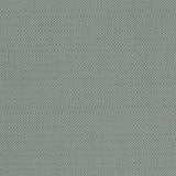CLARKE AND CLARKE - KAUAI- MINERAL - Fabric by the Yard