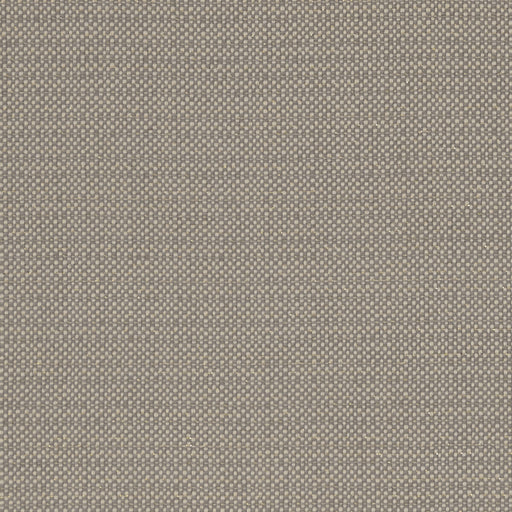 CLARKE AND CLARKE - F1299/07 - KAUAI - Fabric By the Yard