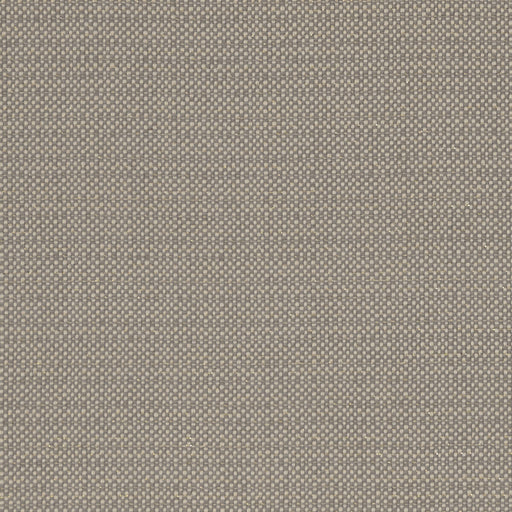 CLARKE AND CLARKE - KAUAI- MOCHA - Fabric by the Yard MOCHA