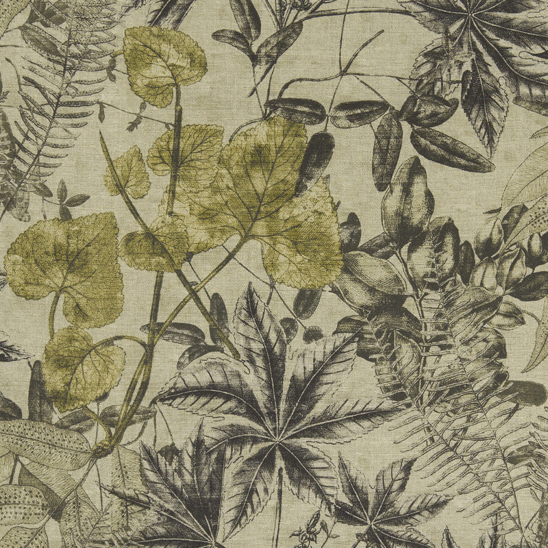 CLARKE AND CLARKE - MADAGASCAR- CHARCOAL/CHARTEUSE - Fabric by the Yard CHARCOAL/CHARTEUSE