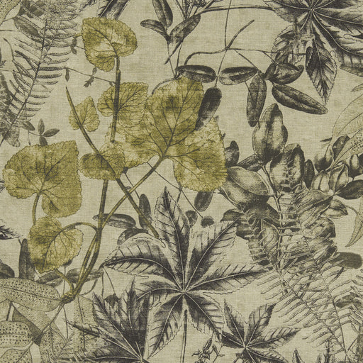 CLARKE AND CLARKE - MADAGASCAR- CHARCOAL/CHARTEUSE - Fabric by the Yard CHARCOAL/CHARTEUSE