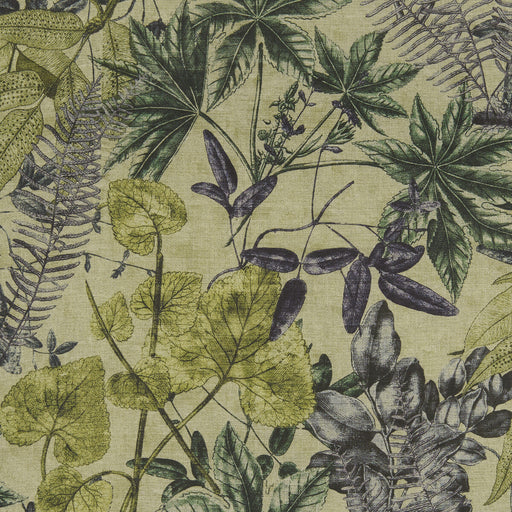 CLARKE AND CLARKE - MADAGASCAR- FOREST - Fabric by the Yard FOREST