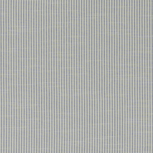 CLARKE AND CLARKE - F1307/06 - BEMPTON - Fabric By the Yard