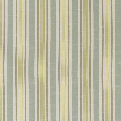 CLARKE AND CLARKE - F1310/01 - MAPPLETON - Fabric By the Yard