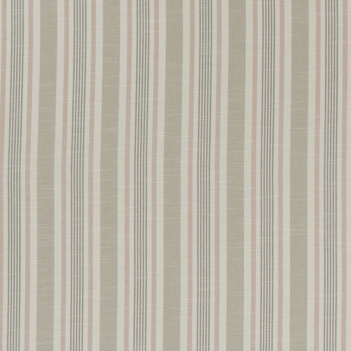 CLARKE AND CLARKE - F1310/02 - MAPPLETON - Fabric By the Yard